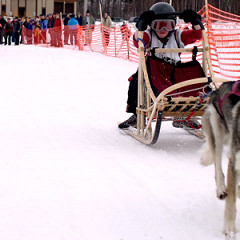 Sled Dog Race